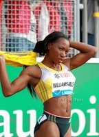 Новлин Уильямс-миллс