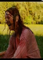 Вибке Пульс