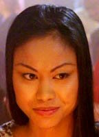 Грегориан Минот Пайер