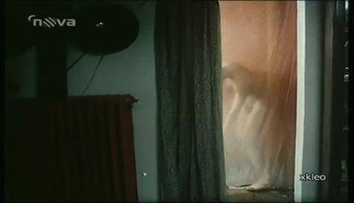 Дагмар Блахова