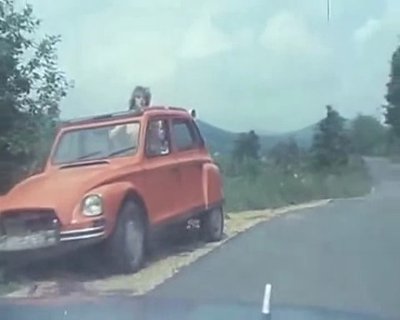 Снежана Михельчич