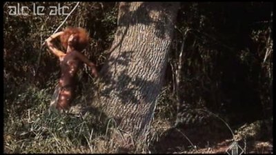 Лукреция Лав