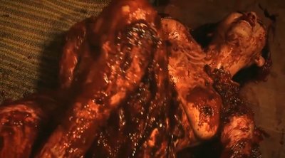 Ана Каролина Брага