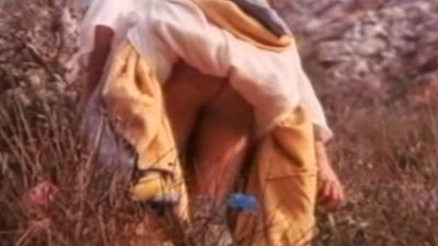 Анджела Ковелло