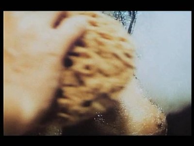 Тереза Бариова