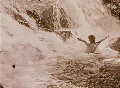 Нелл Шипман