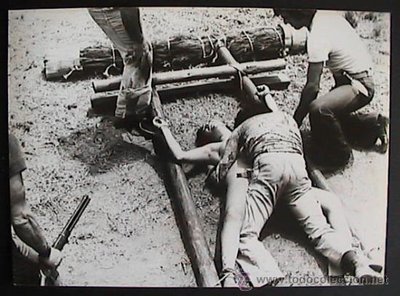 Сита Садафи