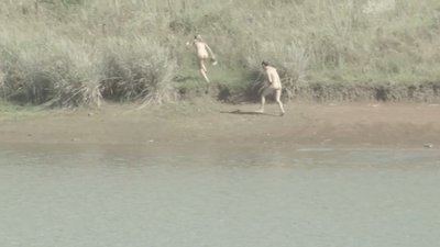 Джули Кристи