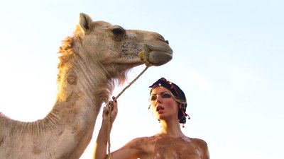 Беатриче Фениче