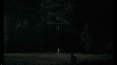 Аня Тейлор-джой