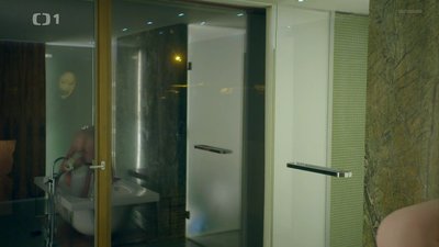 Мари Швесткова