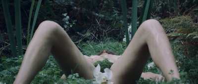 Сара Джуэл Вернер