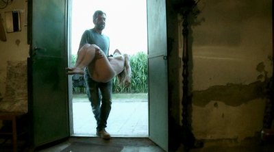 Лаура Барда