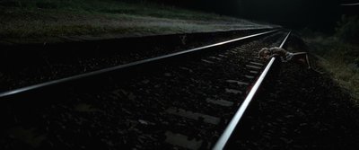 Дора Штаренки