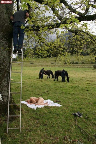 Доминик Ван Халст)