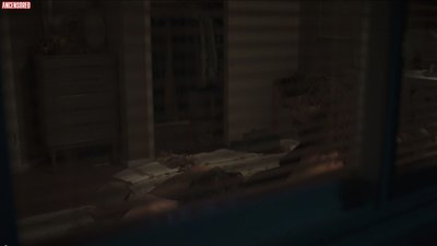 Париса Фитц-хенли