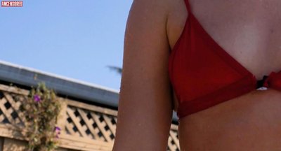 Ярмарка В Авалоне