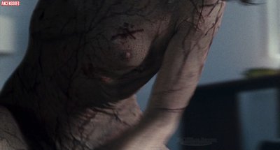 Изабель Шассе