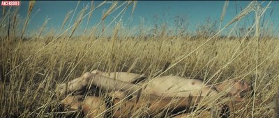 Джоана Эредиа