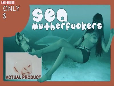 Селина Мейер