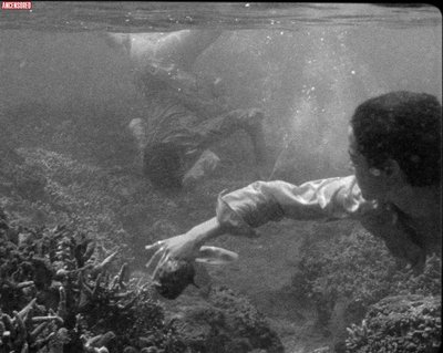 Полин Лориллар