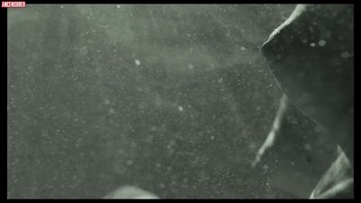 Стейси Венкова