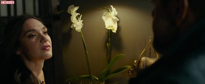 Стелла Саббадин