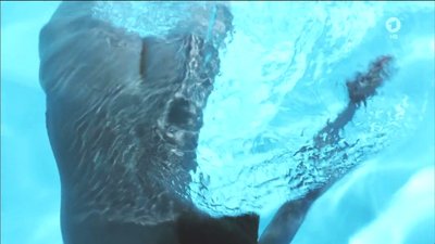 Анн Ратте-полле