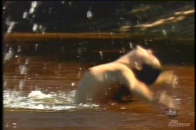 Андреа Рича