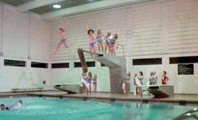 Астрид Брандт