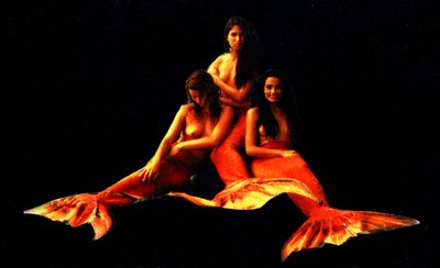 Андреа Феттер Замбрано