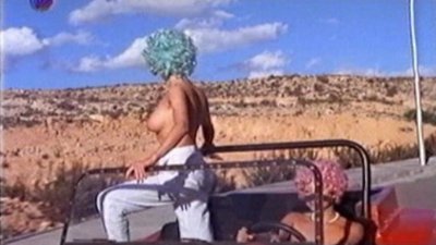 Бригитта Дёллерер