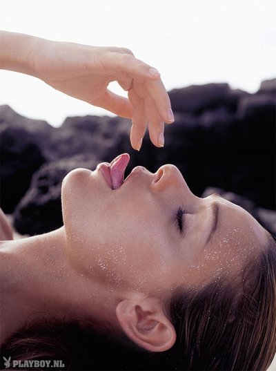 Фрукье Де Бот