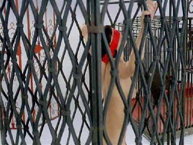 Ярмила Коленикова