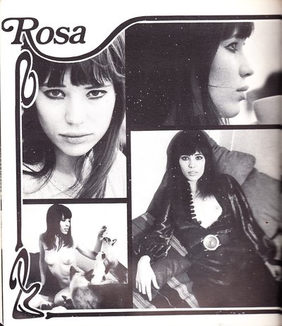 Комическая Роза