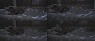 Рио Голландия