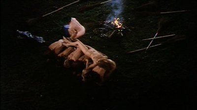 Сандра Рени