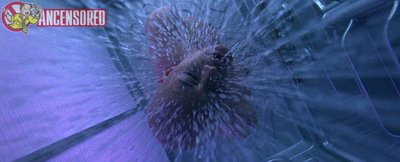 Лин Дан Фам