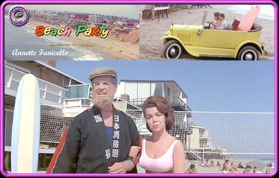 Аннетт Фуничелло