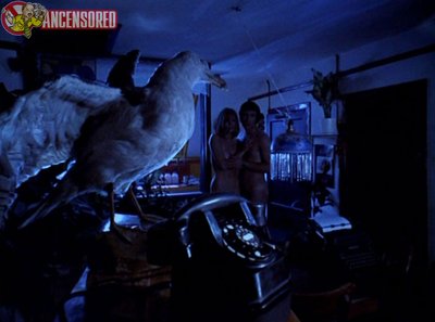 Кокс Хаббема