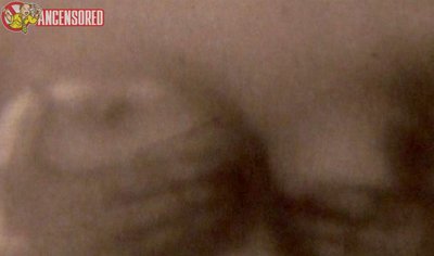 Жаклин Андерсон