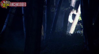 Шинейд Маккаферти